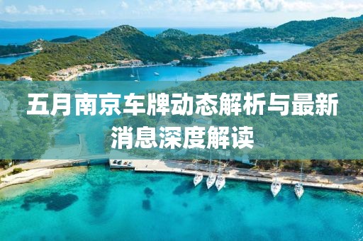 五月南京车牌动态解析与最新消息深度解读