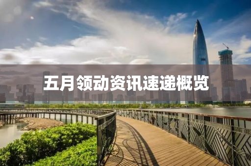 五月领动资讯速递概览
