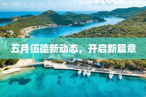 五月伍德新动态，开启新篇章