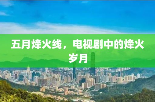 五月烽火线，电视剧中的烽火岁月