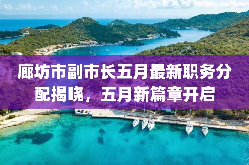 廊坊市副市长五月最新职务分配揭晓，五月新篇章开启