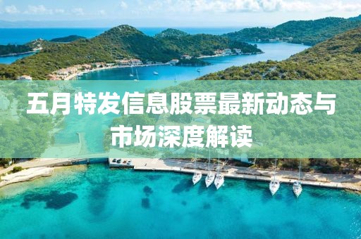 五月特发信息股票最新动态与市场深度解读