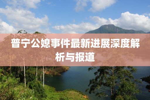 普宁公媳事件最新进展深度解析与报道