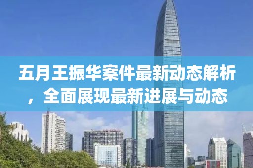 五月王振华案件最新动态解析，全面展现最新进展与动态