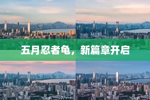 五月忍者龟，新篇章开启