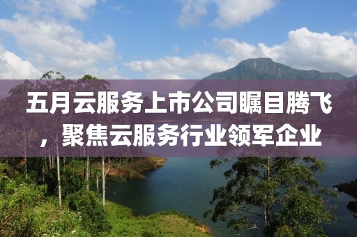 五月云服务上市公司瞩目腾飞，聚焦云服务行业领军企业