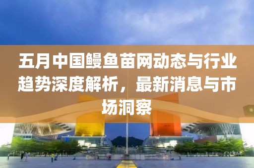 五月中国鳗鱼苗网动态与行业趋势深度解析，最新消息与市场洞察