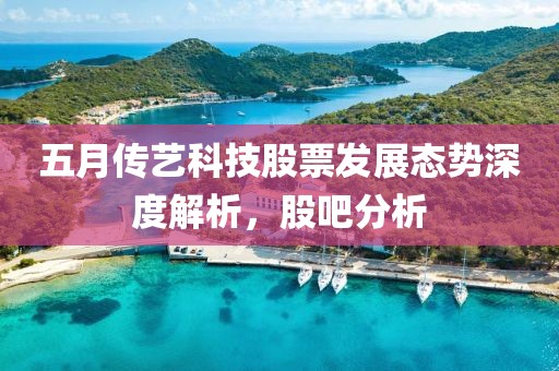五月传艺科技股票发展态势深度解析，股吧分析