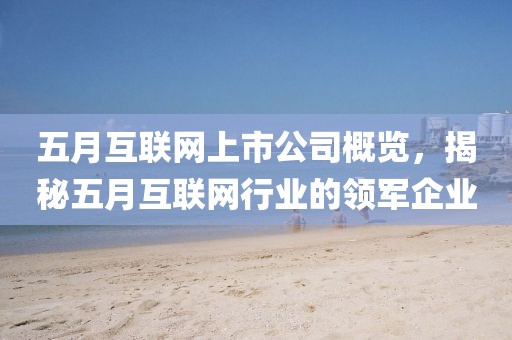 五月互联网上市公司概览，揭秘五月互联网行业的领军企业