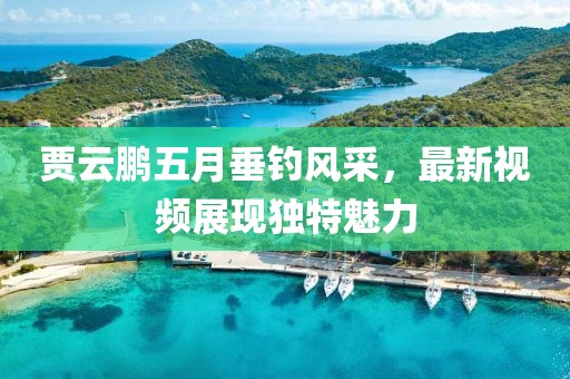 贾云鹏五月垂钓风采，最新视频展现独特魅力