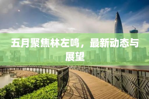 五月聚焦林左鸣，最新动态与展望
