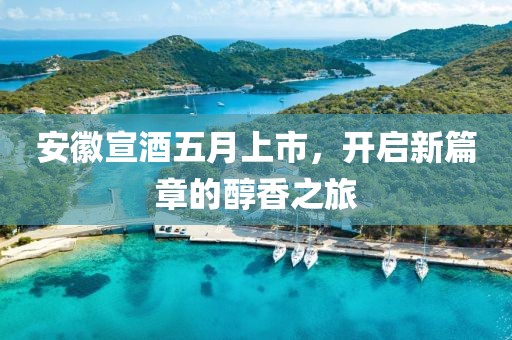 安徽宣酒五月上市，开启新篇章的醇香之旅