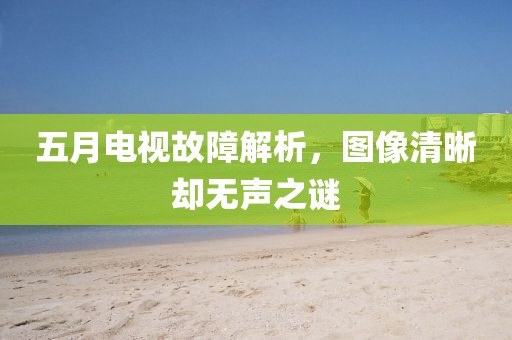 五月电视故障解析，图像清晰却无声之谜
