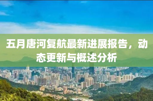 五月唐河复航最新进展报告，动态更新与概述分析
