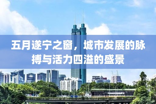 五月遂宁之窗，城市发展的脉搏与活力四溢的盛景