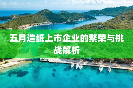 五月造纸上市企业的繁荣与挑战解析