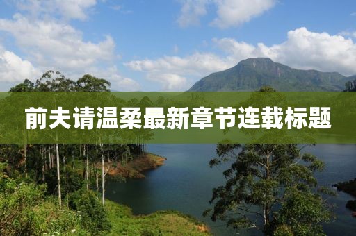前夫请温柔最新章节连载标题