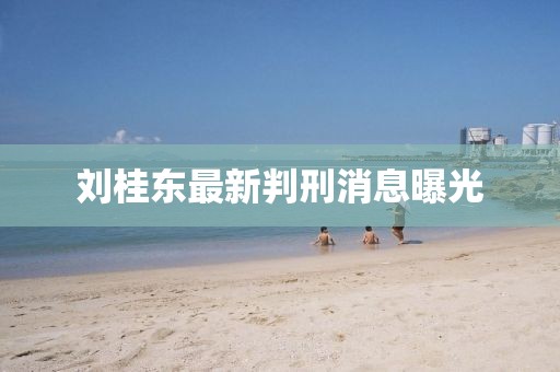 刘桂东最新判刑消息曝光