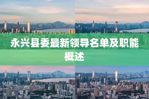 永兴县委最新领导名单及职能概述