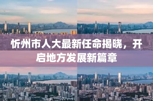 忻州市人大最新任命揭晓，开启地方发展新篇章