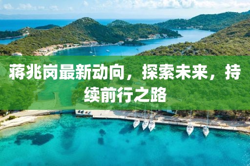 蒋兆岗最新动向，探索未来，持续前行之路