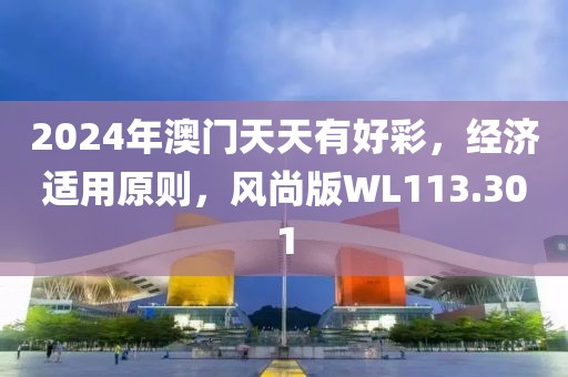 2024年澳门天天有好彩，经济适用原则，风尚版WL113.301