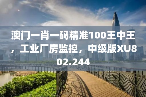 澳门一肖一码精准100王中王，工业厂房监控，中级版XU802.244