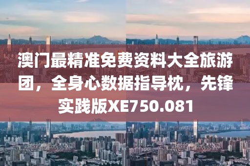 澳门最精准免费资料大全旅游团，全身心数据指导枕，先锋实践版XE750.081