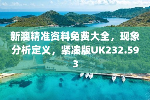 新澳精准资料免费大全，现象分析定义，紧凑版UK232.593