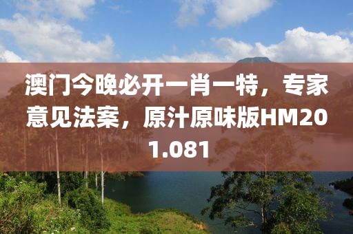 澳门今晚必开一肖一特，专家意见法案，原汁原味版HM201.081