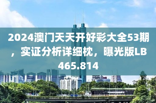 2024澳门天天开好彩大全53期，实证分析详细枕，曝光版LB465.814