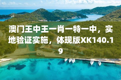 澳门王中王一肖一特一中，实地验证实施，体现版XK140.19