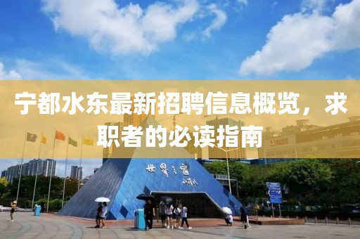 宁都水东最新招聘信息概览，求职者的必读指南