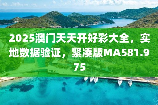 2025澳门天天开好彩大全，实地数据验证，紧凑版MA581.975