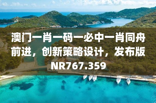 澳门一肖一码一必中一肖同舟前进，创新策略设计，发布版NR767.359