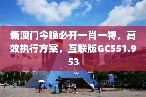 新澳门今晚必开一肖一特，高效执行方案，互联版GC551.953