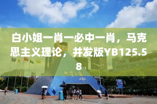 白小姐一肖一必中一肖，马克思主义理论，并发版YB125.58