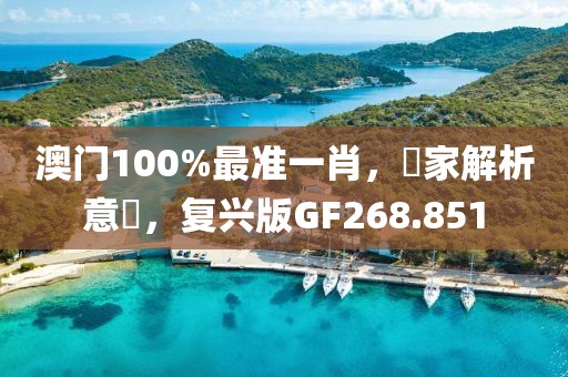 澳门100%最准一肖，專家解析意見，复兴版GF268.851