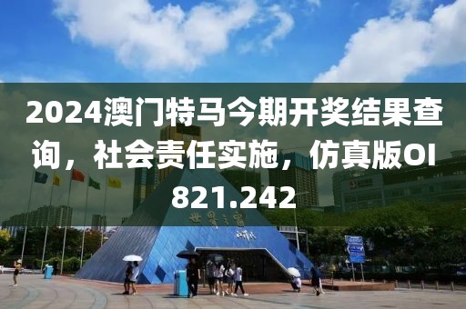 2024澳门特马今期开奖结果查询，社会责任实施，仿真版OI821.242