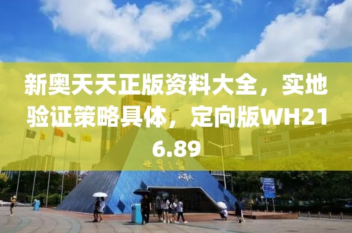 新奥天天正版资料大全，实地验证策略具体，定向版WH216.89
