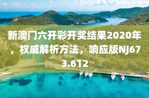 新澳门六开彩开奖结果2020年，权威解析方法，响应版NJ673.612