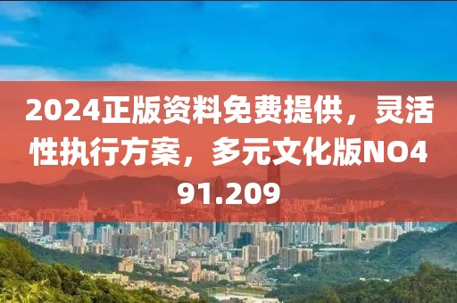 2024正版资料免费提供，灵活性执行方案，多元文化版NO491.209