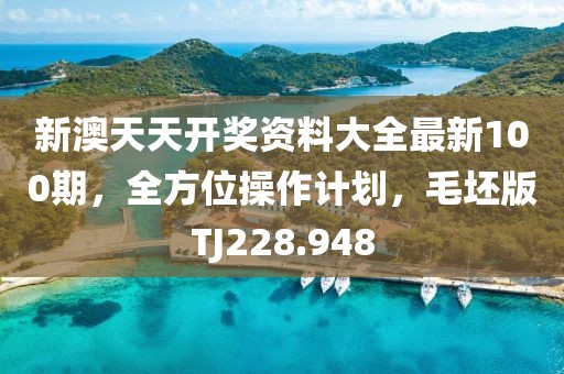 新澳天天开奖资料大全最新100期，全方位操作计划，毛坯版TJ228.948