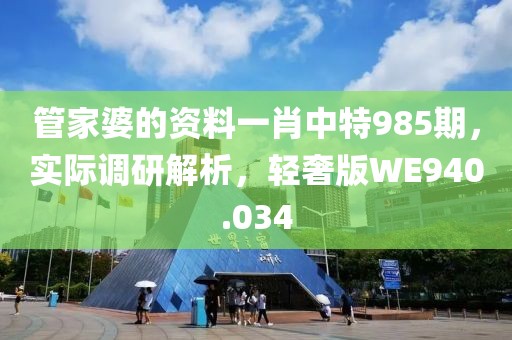 管家婆的资料一肖中特985期，实际调研解析，轻奢版WE940.034