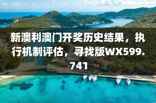 新澳利澳门开奖历史结果，执行机制评估，寻找版WX599.741
