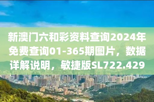 新澳门六和彩资料查询2024年免费查询01-365期图片，数据详解说明，敏捷版SL722.429