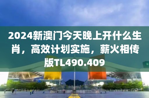 2024新澳门今天晚上开什么生肖，高效计划实施，薪火相传版TL490.409