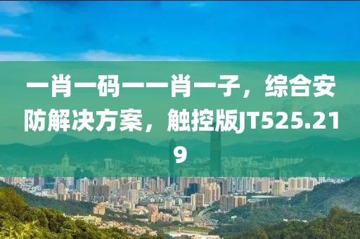 一肖一码一一肖一子，综合安防解决方案，触控版JT525.219