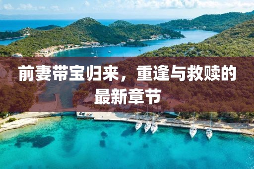 前妻带宝归来，重逢与救赎的最新章节