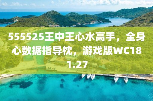 555525王中王心水高手，全身心数据指导枕，游戏版WC181.27